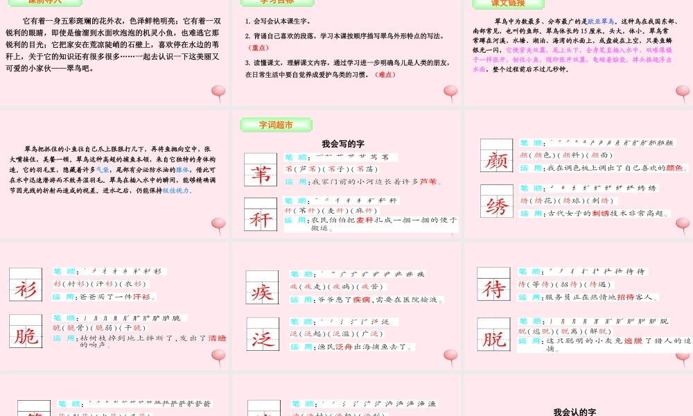 三年级语文下册 第二单元 5 翠鸟课件 语文S版-语文S版小学三年级下册语文课件