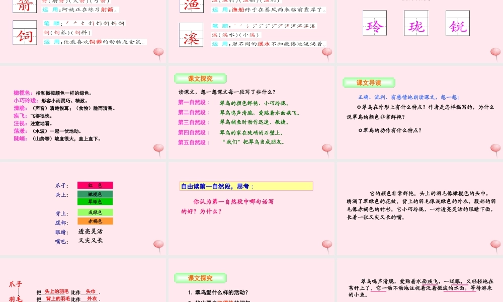 三年级语文下册 第二单元 5 翠鸟课件 语文S版-语文S版小学三年级下册语文课件
