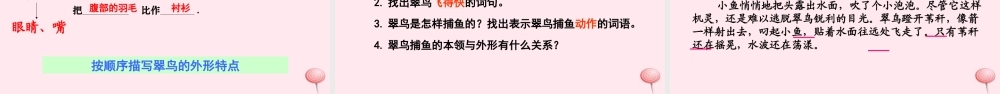 三年级语文下册 第二单元 5 翠鸟课件 语文S版-语文S版小学三年级下册语文课件