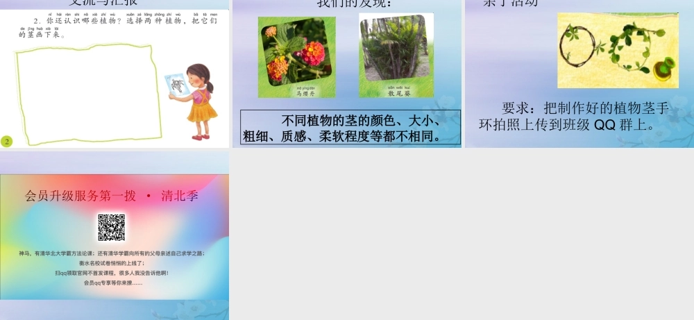 二年级科学上册 第1单元 身边的植物 第2课《樟树与彩叶草》课件 （新版）粤教版-（新版）粤教版小学二年级上册自然科学课件