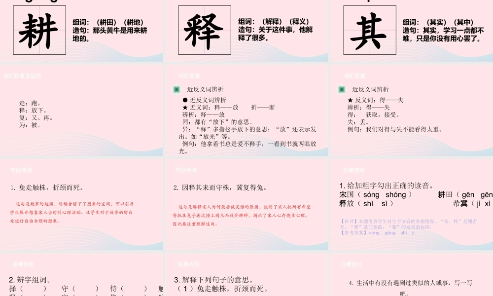 三年级语文下册 第二单元 5 守株待兔课件 新人教版-新人教版小学三年级下册语文课件