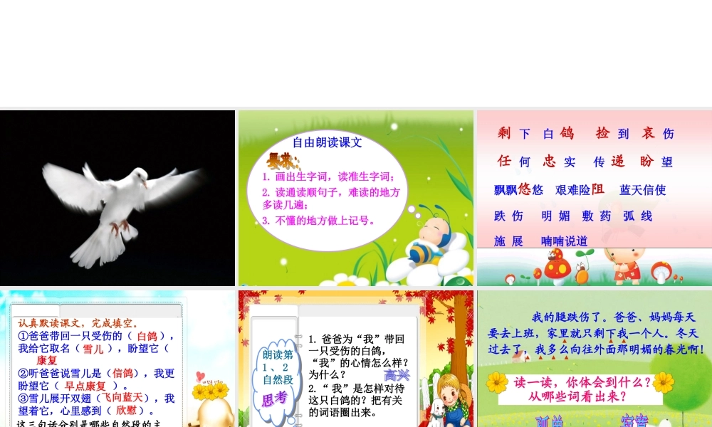 三年级语文下册 第二单元 5 雪儿课件1 苏教版-苏教版小学三年级下册语文课件