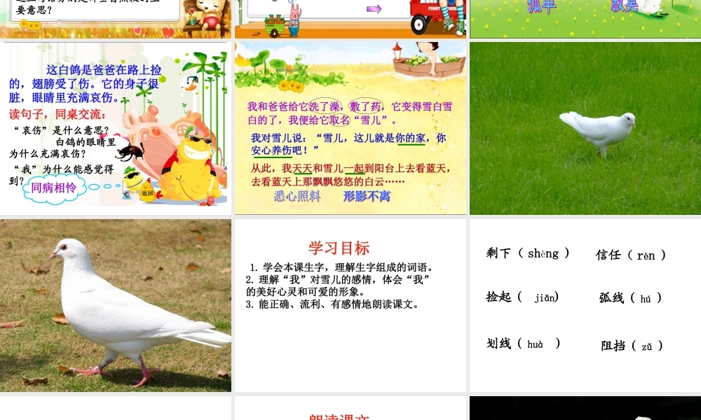 三年级语文下册 第二单元 5 雪儿课件1 苏教版-苏教版小学三年级下册语文课件