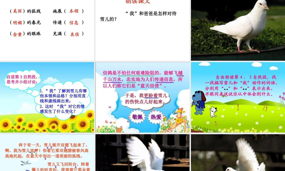 三年级语文下册 第二单元 5 雪儿课件1 苏教版-苏教版小学三年级下册语文课件