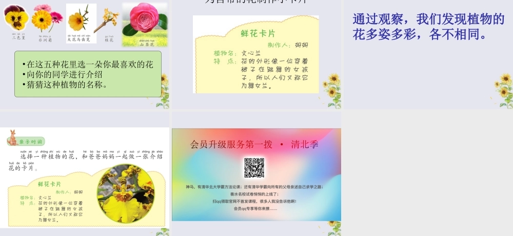 二年级科学上册 第1单元 身边的植物 第3课《百合与朱槿》课件 （新版）粤教版-（新版）粤教版小学二年级上册自然科学课件