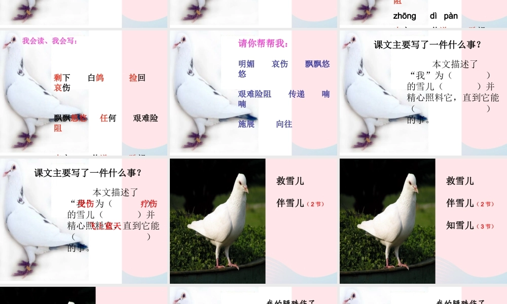 三年级语文下册 第二单元 5 雪儿课件2 苏教版-苏教版小学三年级下册语文课件