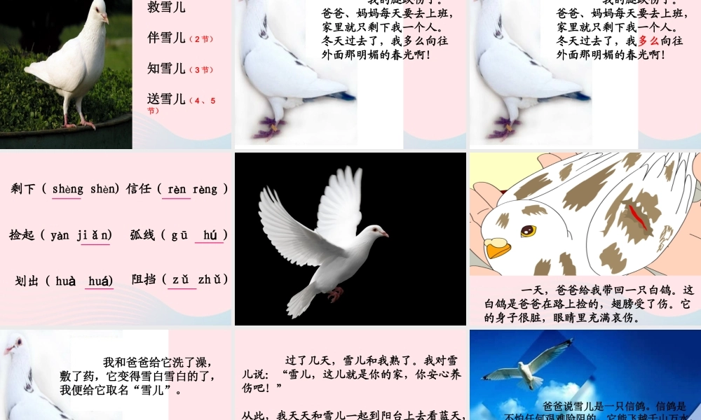 三年级语文下册 第二单元 5 雪儿课件2 苏教版-苏教版小学三年级下册语文课件