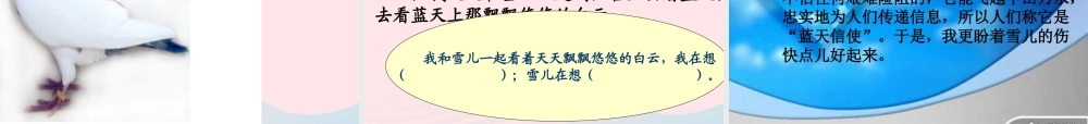 三年级语文下册 第二单元 5 雪儿课件2 苏教版-苏教版小学三年级下册语文课件