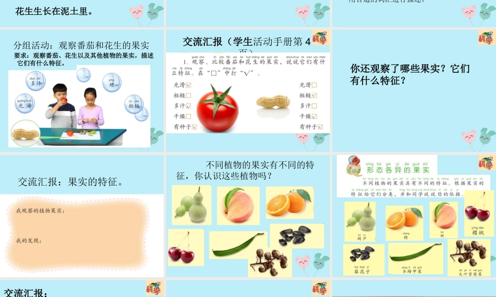 二年级科学上册 第1单元 身边的植物 第4课《番茄与花生》课件 （新版）粤教版-（新版）粤教版小学二年级上册自然科学课件