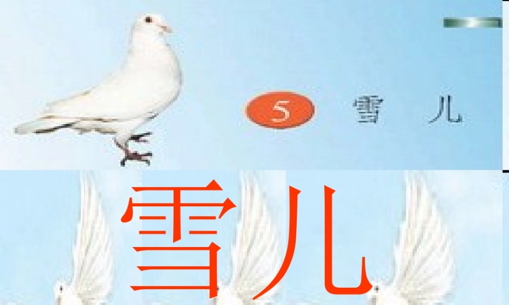 三年级语文下册 第二单元 5 雪儿课件3 苏教版-苏教版小学三年级下册语文课件