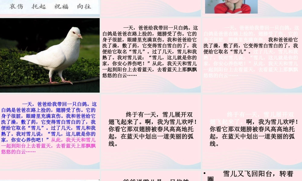 三年级语文下册 第二单元 5 雪儿课件3 苏教版-苏教版小学三年级下册语文课件