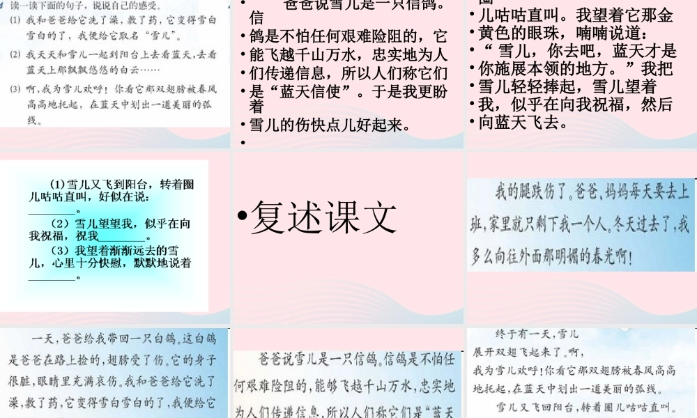 三年级语文下册 第二单元 5 雪儿课件3 苏教版-苏教版小学三年级下册语文课件
