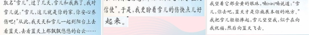 三年级语文下册 第二单元 5 雪儿课件3 苏教版-苏教版小学三年级下册语文课件