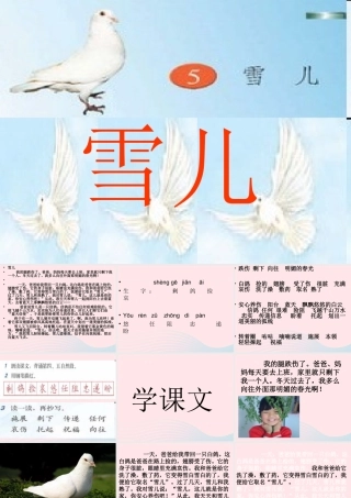 三年级语文下册 第二单元 5 雪儿课件3 苏教版-苏教版小学三年级下册语文课件
