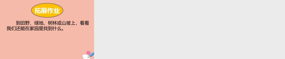 二年级科学上册 第1单元 我们的地球家园 1《地球家园中有什么》课件2 教科版-教科版小学二年级上册自然科学课件