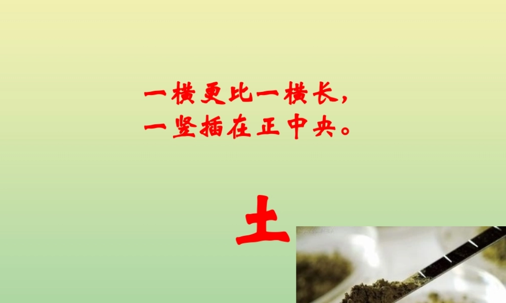 二年级科学上册 第1单元 我们的地球家园 2《土壤—动植物的乐园》课件 教科版-教科版小学二年级上册自然科学课件