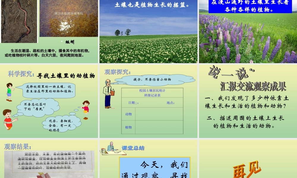二年级科学上册 第1单元 我们的地球家园 2《土壤—动植物的乐园》课件 教科版-教科版小学二年级上册自然科学课件
