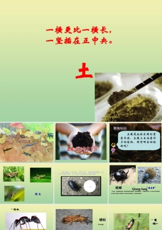 二年级科学上册 第1单元 我们的地球家园 2《土壤—动植物的乐园》课件 教科版-教科版小学二年级上册自然科学课件