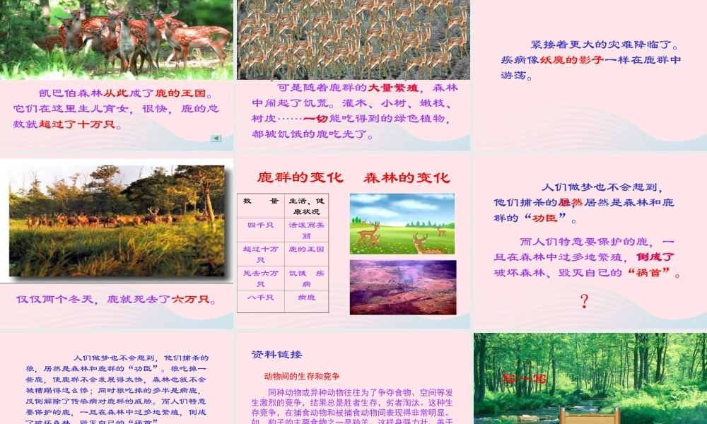 三年级语文下册 第六单元 18狼和鹿课件2 苏教版-苏教版小学三年级下册语文课件