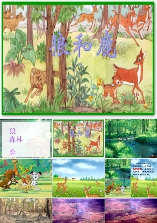 三年级语文下册 第六单元 18狼和鹿课件2 苏教版-苏教版小学三年级下册语文课件