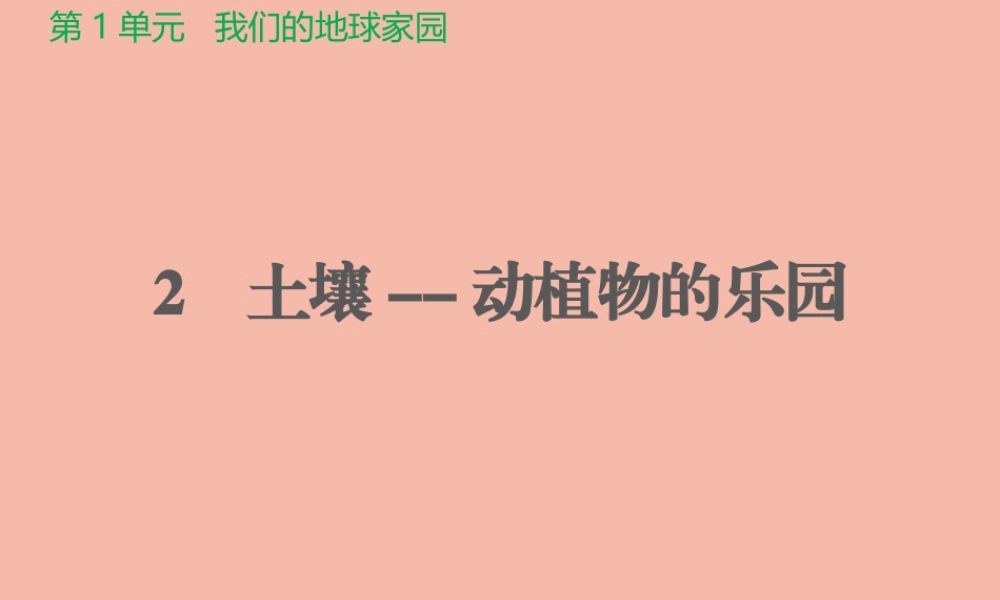 二年级科学上册 第1单元 我们的地球家园 2《土壤-动植物的乐园》课件 教科版-教科级上册自然科学课件