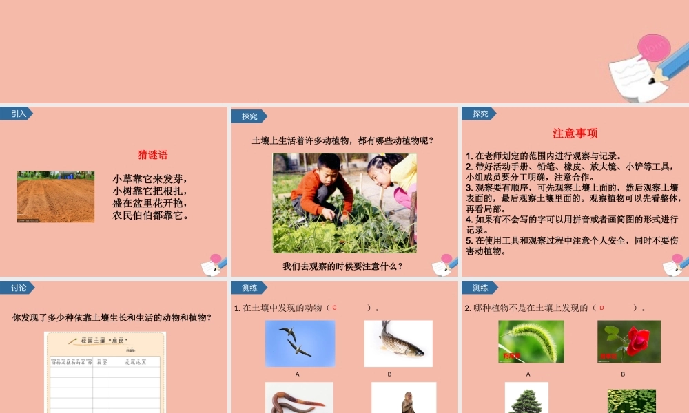 二年级科学上册 第1单元 我们的地球家园 2《土壤-动植物的乐园》课件 教科版-教科级上册自然科学课件