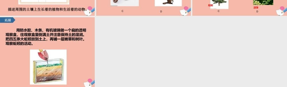 二年级科学上册 第1单元 我们的地球家园 2《土壤-动植物的乐园》课件 教科版-教科级上册自然科学课件