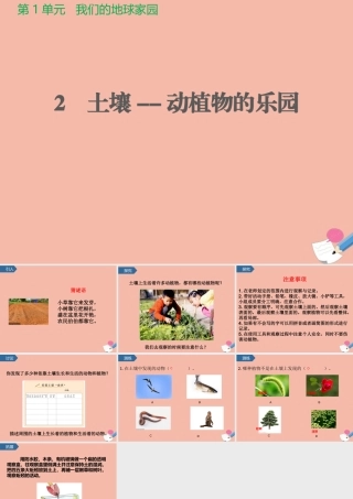 二年级科学上册 第1单元 我们的地球家园 2《土壤-动植物的乐园》课件 教科版-教科级上册自然科学课件