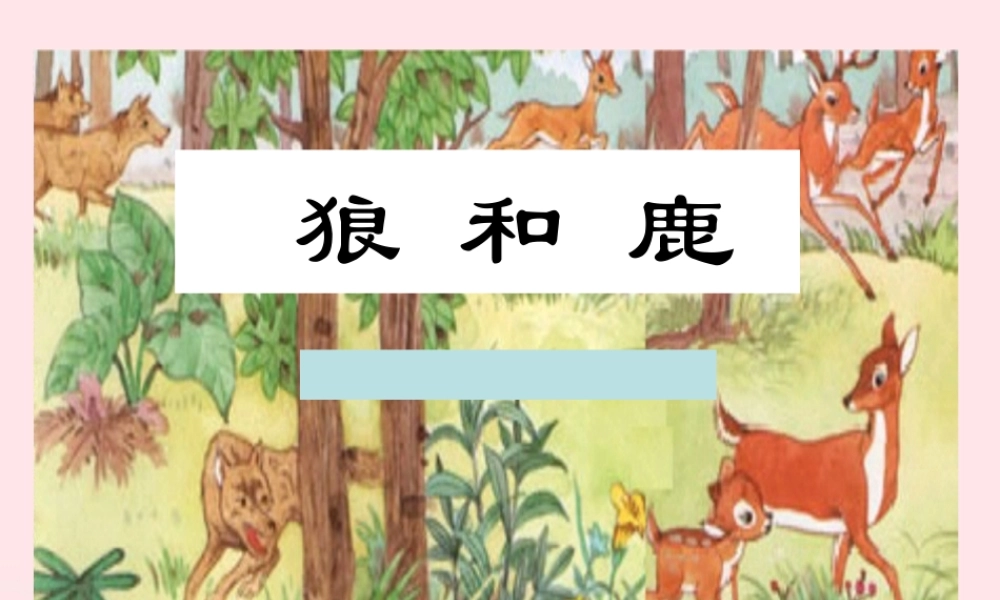 三年级语文下册 第六单元 18狼和鹿课件3 苏教版-苏教版小学三年级下册语文课件