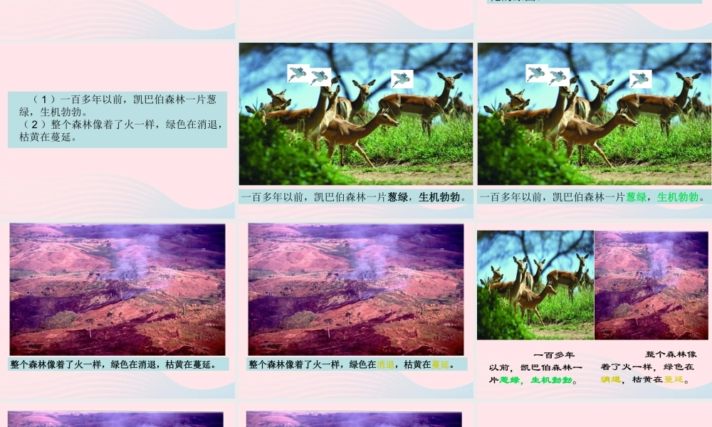 三年级语文下册 第六单元 18狼和鹿课件3 苏教版-苏教版小学三年级下册语文课件