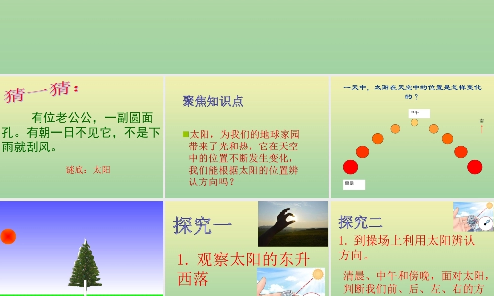 二年级科学上册 第1单元 我们的地球家园 3《太阳的位置和方向》课件 教科版-教科版小学二年级上册自然科学课件