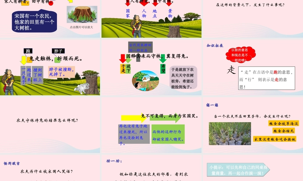 三年级语文下册 第二单元 5《守株待兔》课堂教学课件 新人教版-新人教版小学三年级下册语文课件