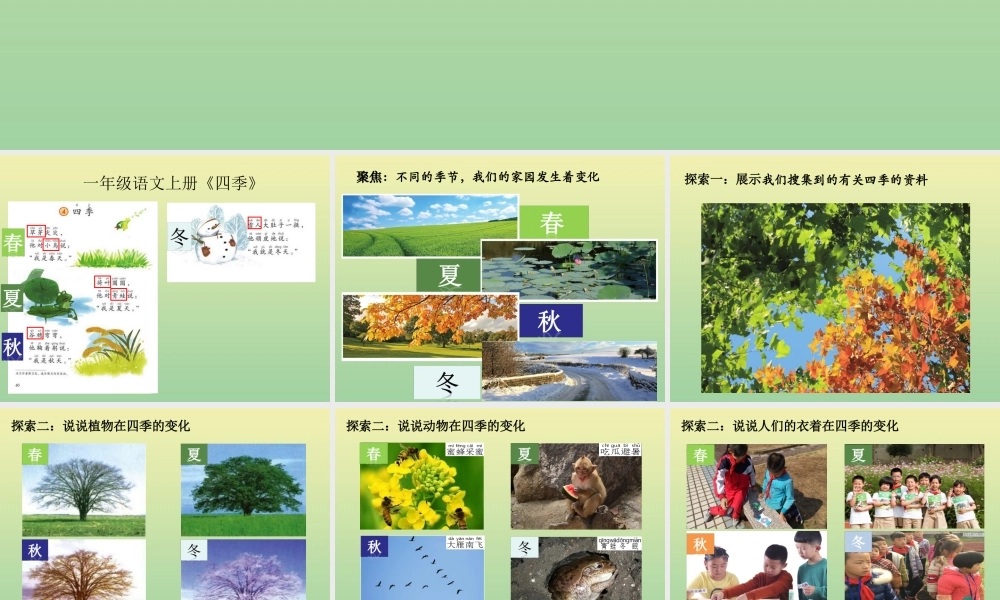 二年级科学上册 第1单元 我们的地球家园 6《不同的季节》课件 教科版-教科版小学二年级上册自然科学课件