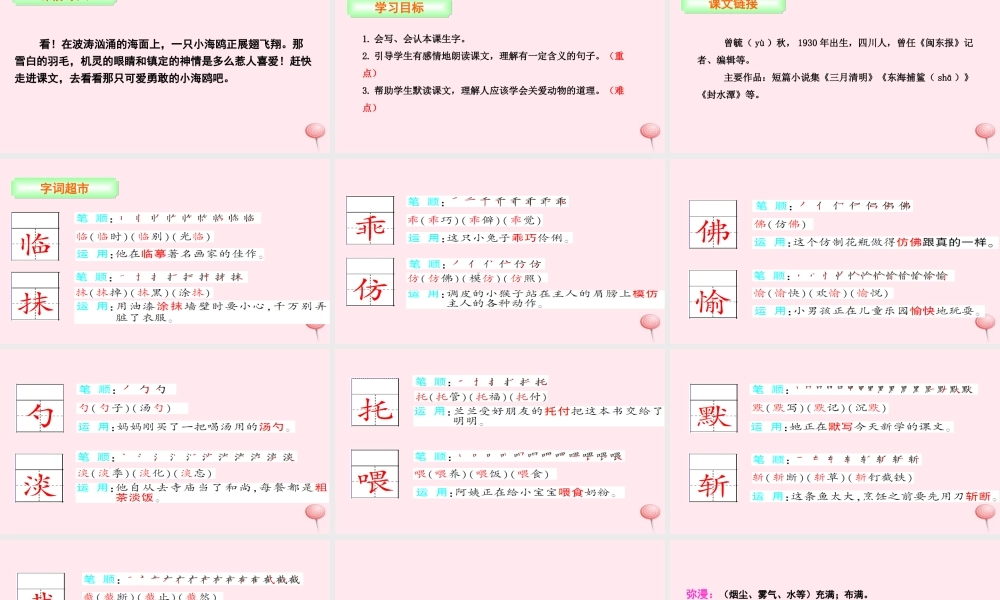 三年级语文下册 第二单元 6 飞吧，海鸥课件 语文S版-语文S版小学三年级下册语文课件