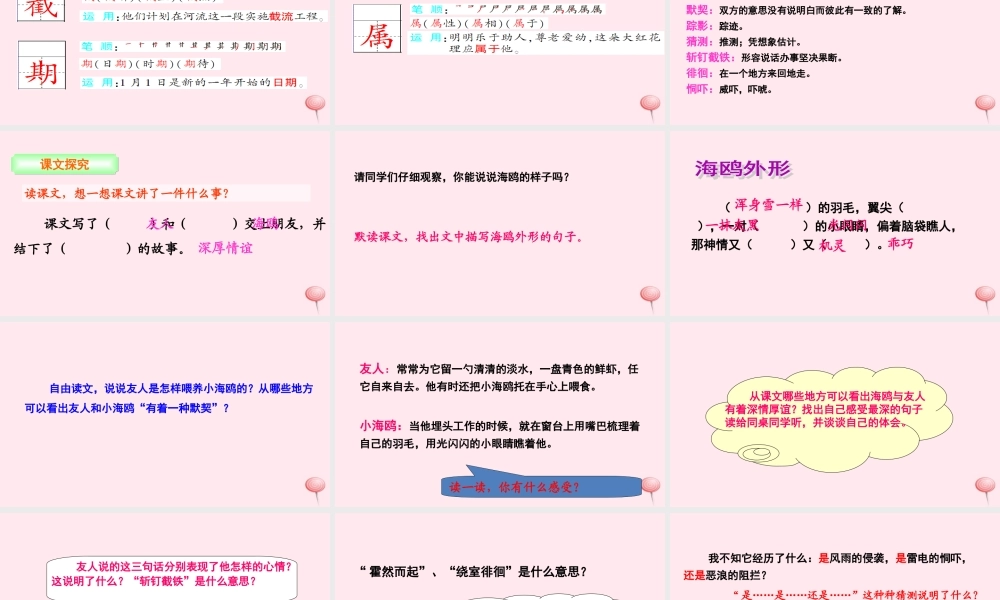 三年级语文下册 第二单元 6 飞吧，海鸥课件 语文S版-语文S版小学三年级下册语文课件