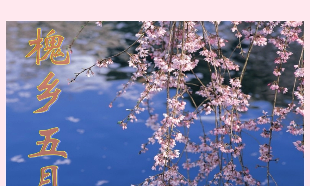 三年级语文下册 第七单元 第22课《槐乡五月》课件 苏教版-苏教版小学三年级下册语文课件