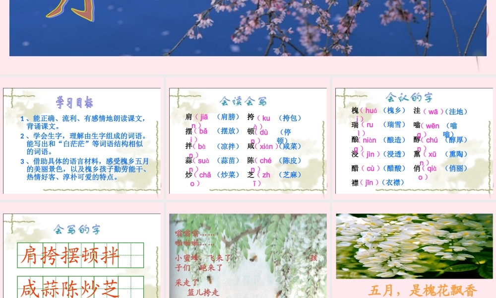 三年级语文下册 第七单元 第22课《槐乡五月》课件 苏教版-苏教版小学三年级下册语文课件