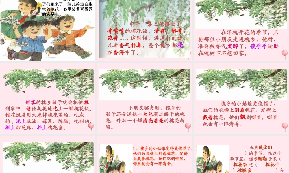 三年级语文下册 第七单元 第22课《槐乡五月》课件 苏教版-苏教版小学三年级下册语文课件