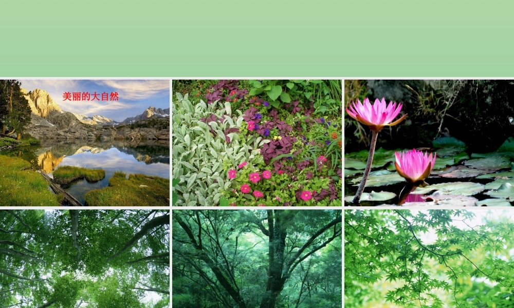 二年级科学上册 第1单元 我们的地球家园 7《做大自然的孩子》课件 教科版-教科版小学二年级上册自然科学课件