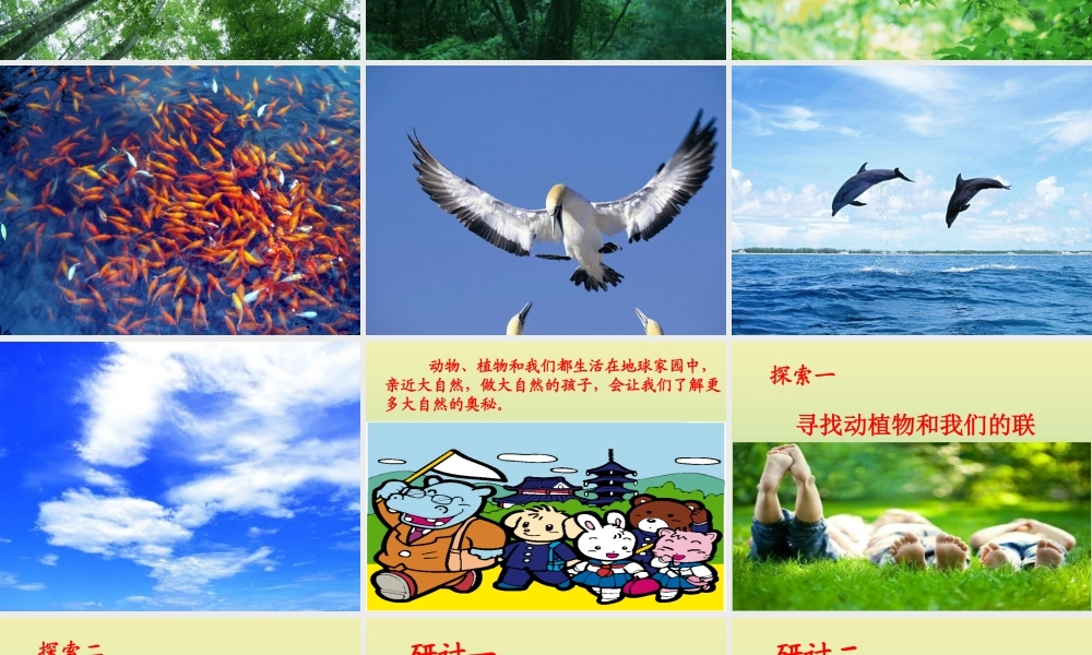 二年级科学上册 第1单元 我们的地球家园 7《做大自然的孩子》课件 教科版-教科版小学二年级上册自然科学课件