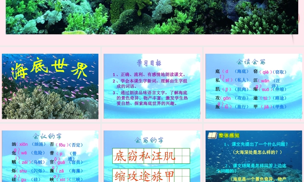 三年级语文下册 第七单元 第23课《海底世界》课件 苏教版
