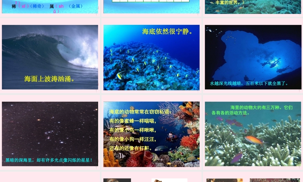 三年级语文下册 第七单元 第23课《海底世界》课件 苏教版