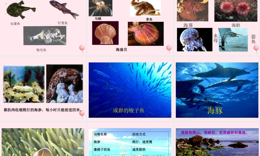 三年级语文下册 第七单元 第23课《海底世界》课件 苏教版