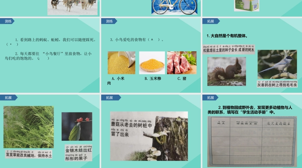 二年级科学上册 第1单元 我们的地球家园 7《做大自然的孩子》课件 教科版-教科级上册自然科学课件