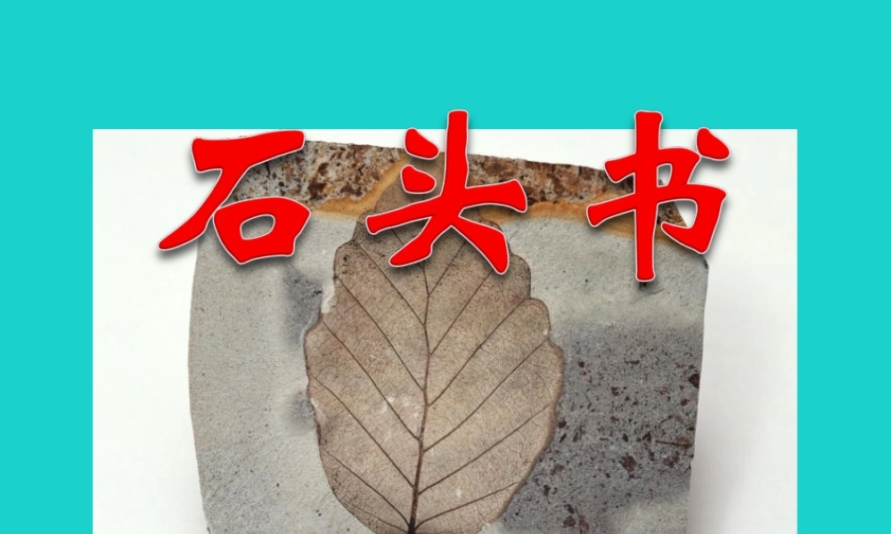 三年级语文下册 第六单元 19《石头书》教学课件 苏教版-苏教版小学三年级下册语文课件