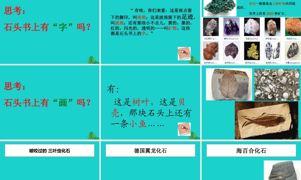 三年级语文下册 第六单元 19《石头书》教学课件 苏教版-苏教版小学三年级下册语文课件