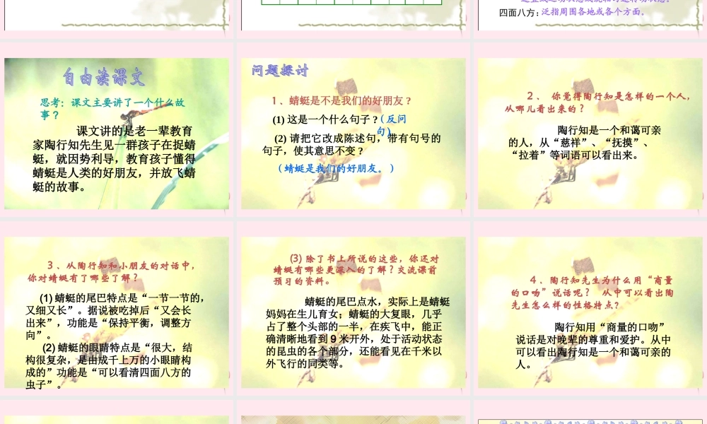 三年级语文下册 第七单元 第放飞蜻蜓》课件 苏教版