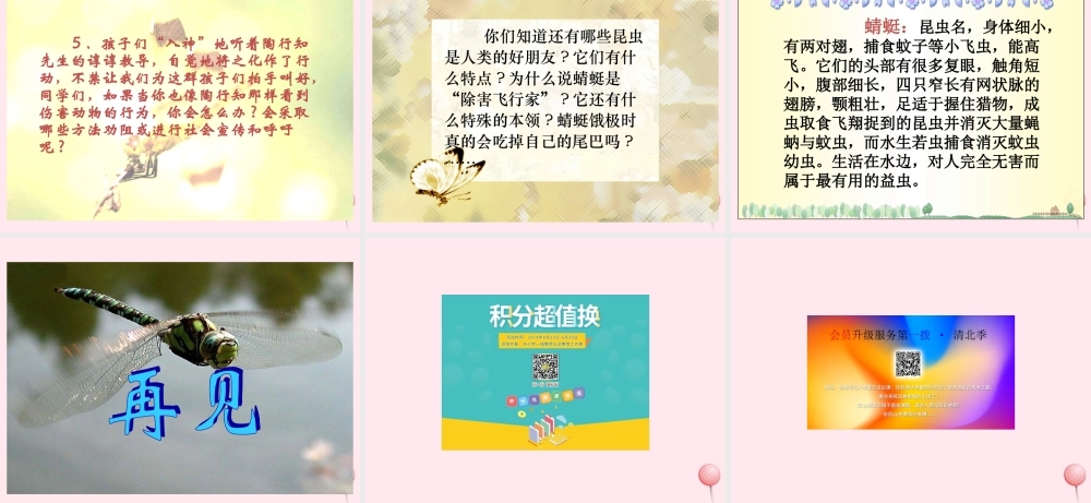 三年级语文下册 第七单元 第放飞蜻蜓》课件 苏教版