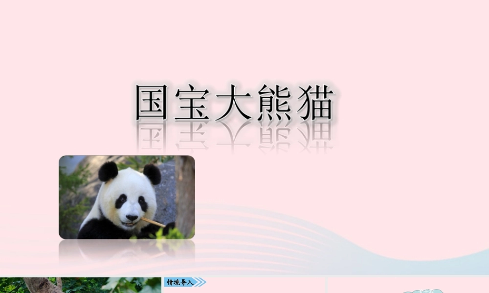 三年级语文下册 第七单元 习作 国宝大熊猫课件 新人教版-新人教版小学三年级下册语文课件