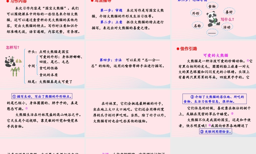 三年级语文下册 第七单元 习作《国宝大熊猫》课件 新人教版-新人教版小学三年级下册语文课件